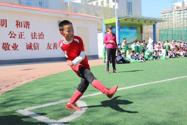 2026年全国硬地滚球锦标赛在北京开赛